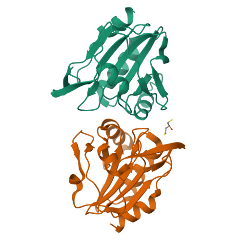 RCSB PDB - 8ZWT: Crystal structure of atypical two cysteine thiol ...