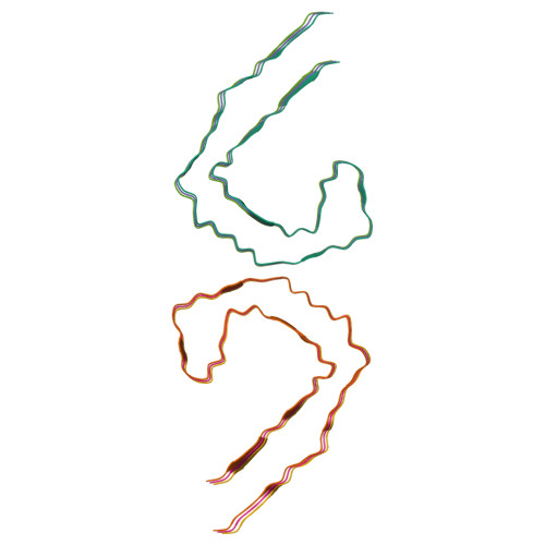 RCSB PDB - 8ZX6: Heparin bound Tau fibril PHF