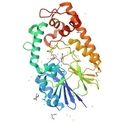 RCSB PDB - 8ZXG: Crystal structure of Paraoxonase from