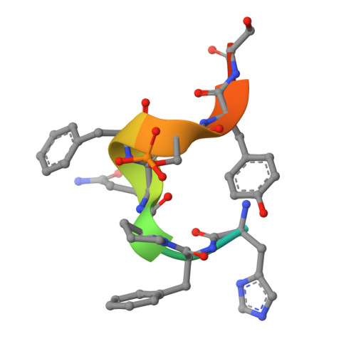 Mab 様 Anti-Zika virus NS1 protein antibody [GT5212] - BSA and