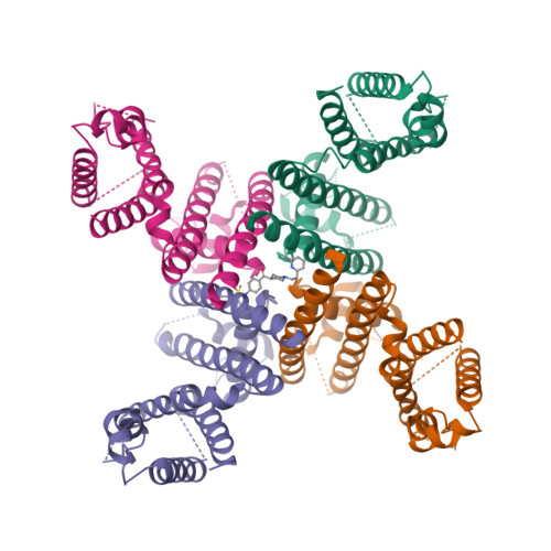 RCSB PDB - 8ZYP: Cryo-EM Structure of E-4031-bound hERG Channel