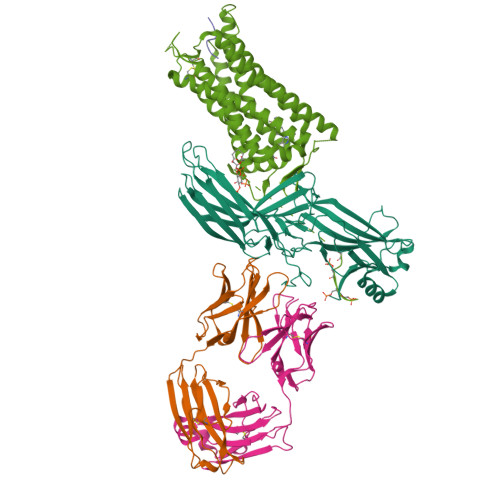 RCSB PDB - 8ZYU: Cryo-EM structure of neurotensin receptor 1 in