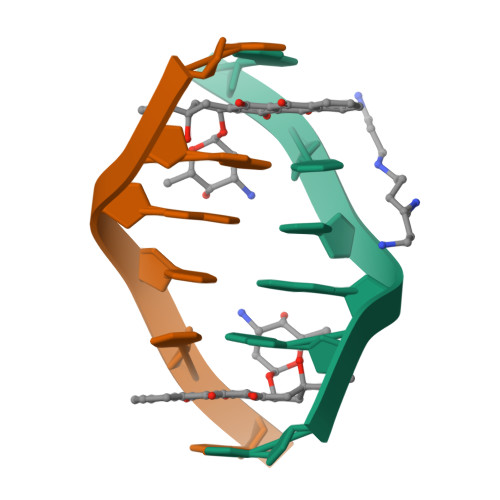 Rcsb Pdb 198d A Trigonal Form Of The Idarubicin D Cgatcg Complex Crystal And Molecular Structure At 2 0 Angstroms Resolution