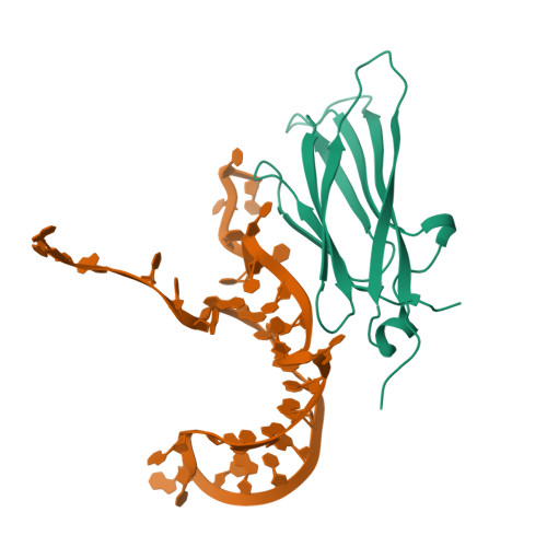 Structure 9AA8