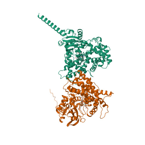 Structure 9AAS