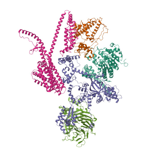 Structure 9AAX