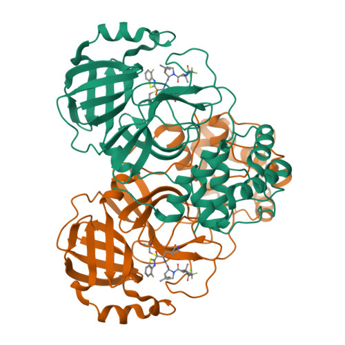 RCSB PDB - 9ARQ: Crystal structure of SARS-CoV-2 main protease ...