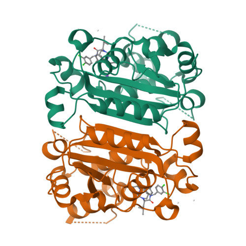 RCSB PDB - 9AVA: Co-crystal structure of human TREX1 in complex with an ...