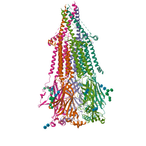 RCSB PDB - 9AVU: Bovine fetal muscle nAChR bound to ACh