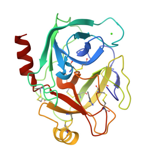 RCSB PDB - 9AVY: Crystal structure of trypsin at 100 Kelvin with ...