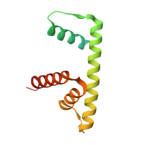 RCSB PDB - 9B31: Cryo-EM Structure Of Yeast (Nap1)2-Kap114-H2A-H2B