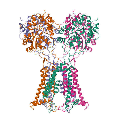 RCSB PDB - 9B35: Ligand-binding and transmembrane domains of kainate ...