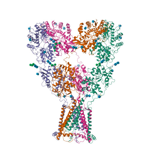 RCSB PDB - 9B39: Kainate Receptor GluK2 In Complex With Agonist ...