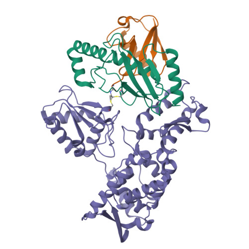 RCSB PDB - 9B55: Ubiquitin E2-Ub-E3 HECT tetrahedral transthiolation ...