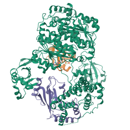 RCSB PDB - 9B5C: Ubiquitin E1-Ub-E2 tetrahedral transthiolation ...