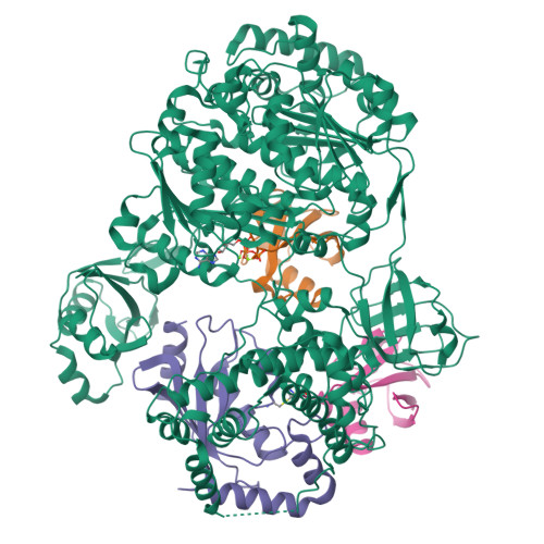 RCSB PDB - 9B5D: Ubiquitin E1-Ub-E2 tetrahedral transthiolation ...