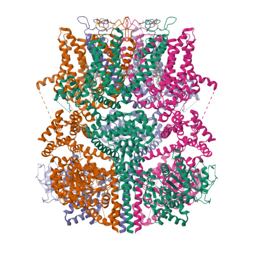 RCSB PDB - 9B6D: Cryo-EM structure of the mouse TRPM8 channel in the ...