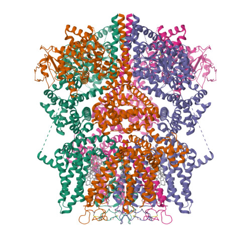 RCSB PDB - 9B6E: Cryo-EM structure of the mouse TRPM8 channel in ...