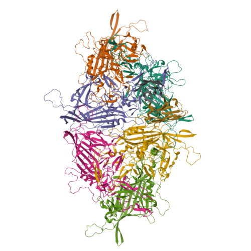RCSB PDB - 9B6O: Fab1-2 in complex with the capsid of Adeno-associated ...