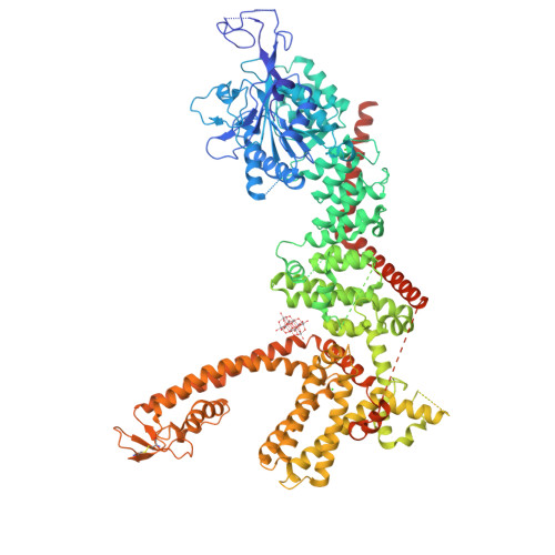 RCSB PDB - 9B8Z: Cryo-EM structure of the human TRPM4 channel subunit ...