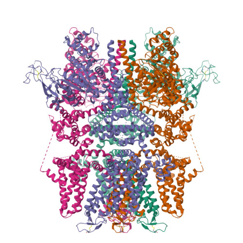 RCSB PDB - 9B93: Cryo-EM structure of the human TRPM4 channel in the ...