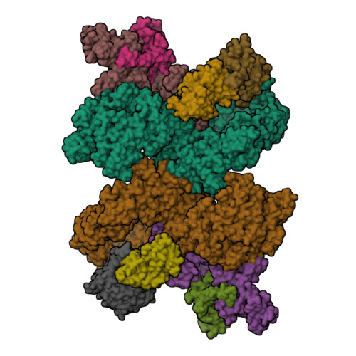 RCSB PDB - 9B9G: Structure of the PI4KA complex bound to Calcineurin