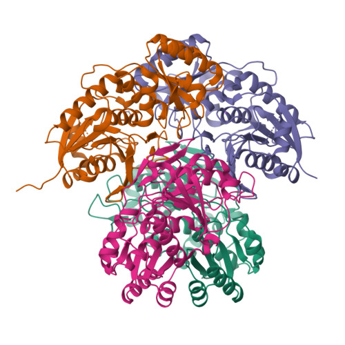 RCSB PDB - 9BAD: Crystal structure of Bacillus subtilis 168 L ...