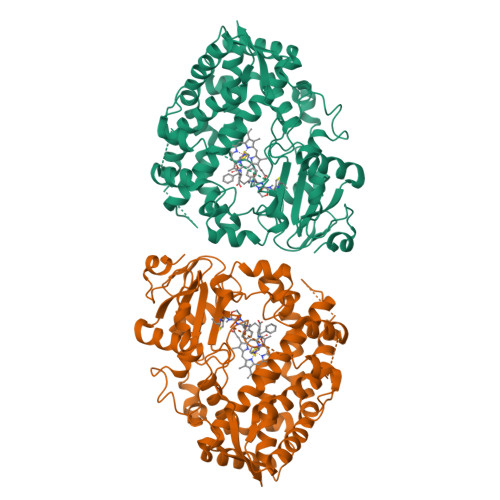 RCSB PDB - 9BBB: Human CYP3A4 bound to an inhibitor