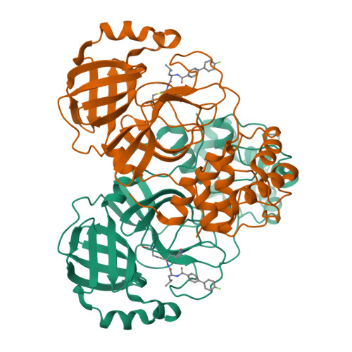 Identification and Exploration of a Series of SARS-Cov‑2 M<sup>Pro</sup> Cyano-Based Inhibitors Revealing Ortho-Substitution Effects within the P3 Biphenyl Group.