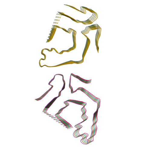RCSB PDB - 9BDR: Cryo-EM structure of cardiac amyloid fibril from a ...