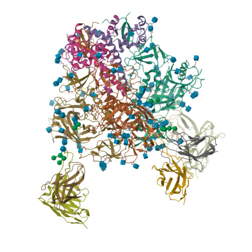 RCSB PDB - 9BER: Cryo-EM structure of the HIV-1 JR-FL IDL Env trimer in ...