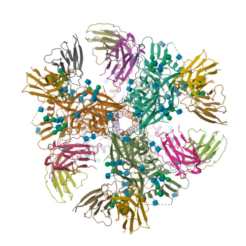 RCSB PDB - 9BEW: Cryo-EM structure of the HIV-1 BG505 IDL Env trimer in ...