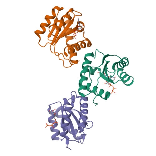 RCSB PDB - 9BF0: MID domain of human Argo2 bound to UTP