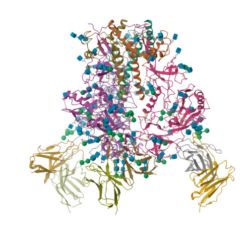 RCSB PDB - 9BF6: Cryo-EM structure of the HIV-1 WITO IDL Env trimer in ...