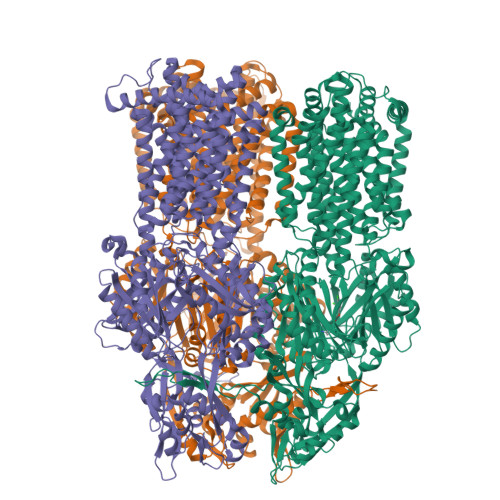 RCSB PDB - 9BFH: Cryo-EM co-structure of AcrB with the CU032 efflux ...
