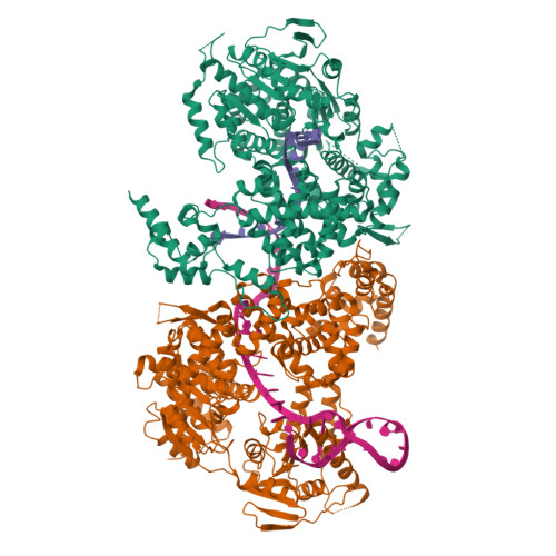 RCSB PDB - 9BH9: Human DNA polymerase theta helicase domain dimer bound ...