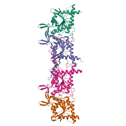 RCSB PDB - 9BHW: Septin Tetrameric Complex SEPT7/SEPT9 of Ciona ...