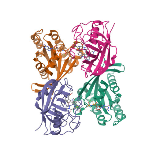 RCSB PDB - 9BI1: Crystal structure of GMPPNP bound KRAS G12D in