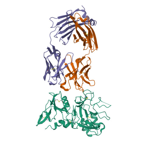 RCSB PDB - 9BJH: Crystal structure of neutralizing human monoclonal ...