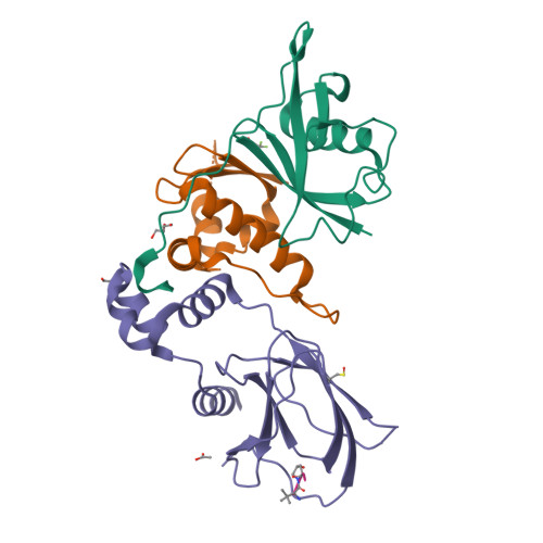 RCSB PDB - 9BJU: Crystal structure of the complex between VHL, ElonginB ...