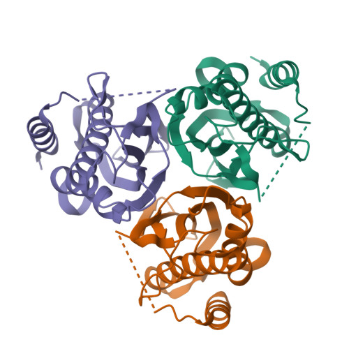 RCSB PDB - 9BKI: Crystal structure of Rid family protein ACIAD3089 from ...