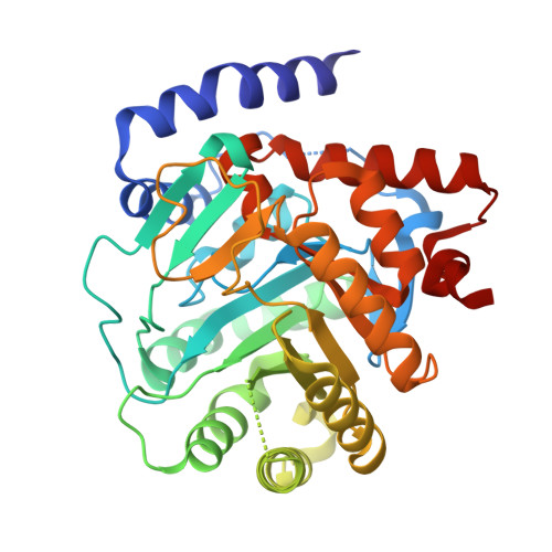 RCSB PDB - 9BKM: DHODH in complex with Ligand 10