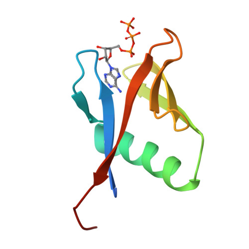 PDB 9BKR