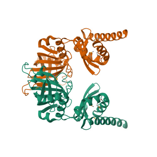 RCSB PDB - 9BL1: Crystal structure of heme-binding protein from Populus ...