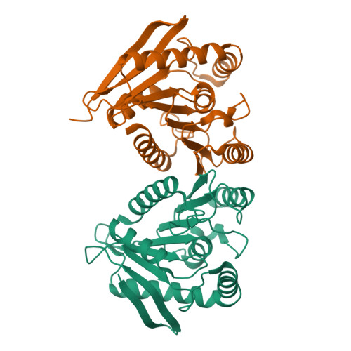 RCSB PDB - 9BLE: Crystal structure of thermostable dienelactone ...