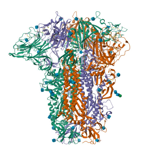 RCSB PDB - 9BLK: HCoV-OC43 Spike glycoprotein