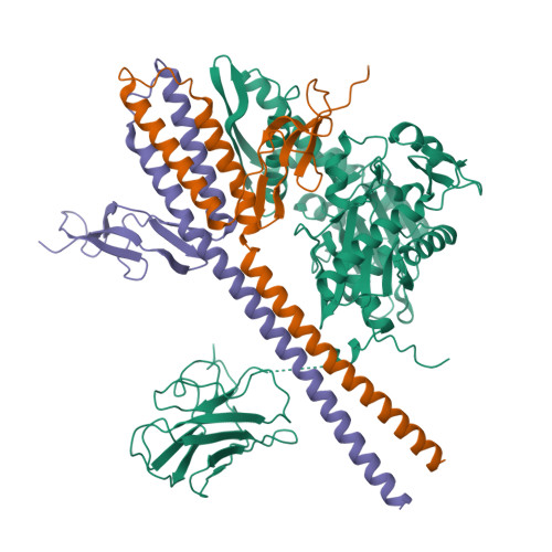RCSB PDB - 9BLU: Structure of the human mitochondrial Hsp70 (mortalin ...