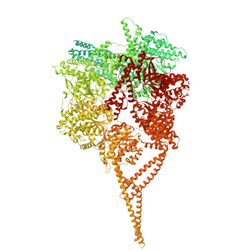 RCSB PDB - 9BML: State-2 of the motor domain from full-length human ...