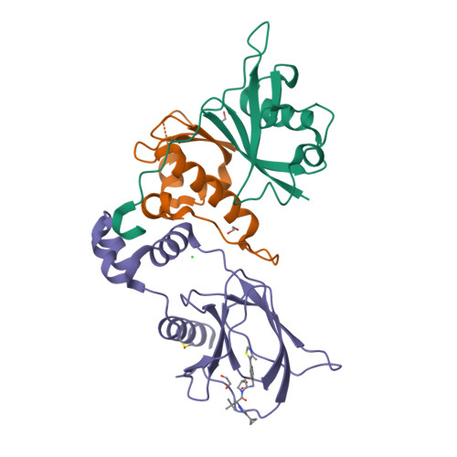 RCSB PDB - 9BOL: Crystal structure of the complex between VHL, ElonginB ...