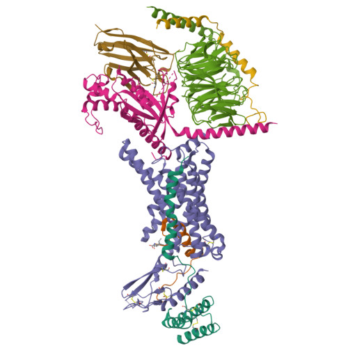 cagrilintide structure Development of Cagrilintide, a Long-Acting Amylin Analogue RCSB PDB - 9BQ3: Human
